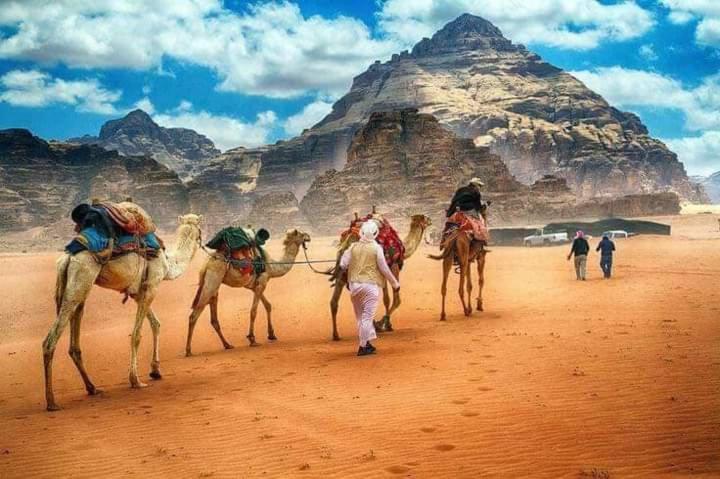 Rum Titanic Camp Wadi Rum Exteriör bild