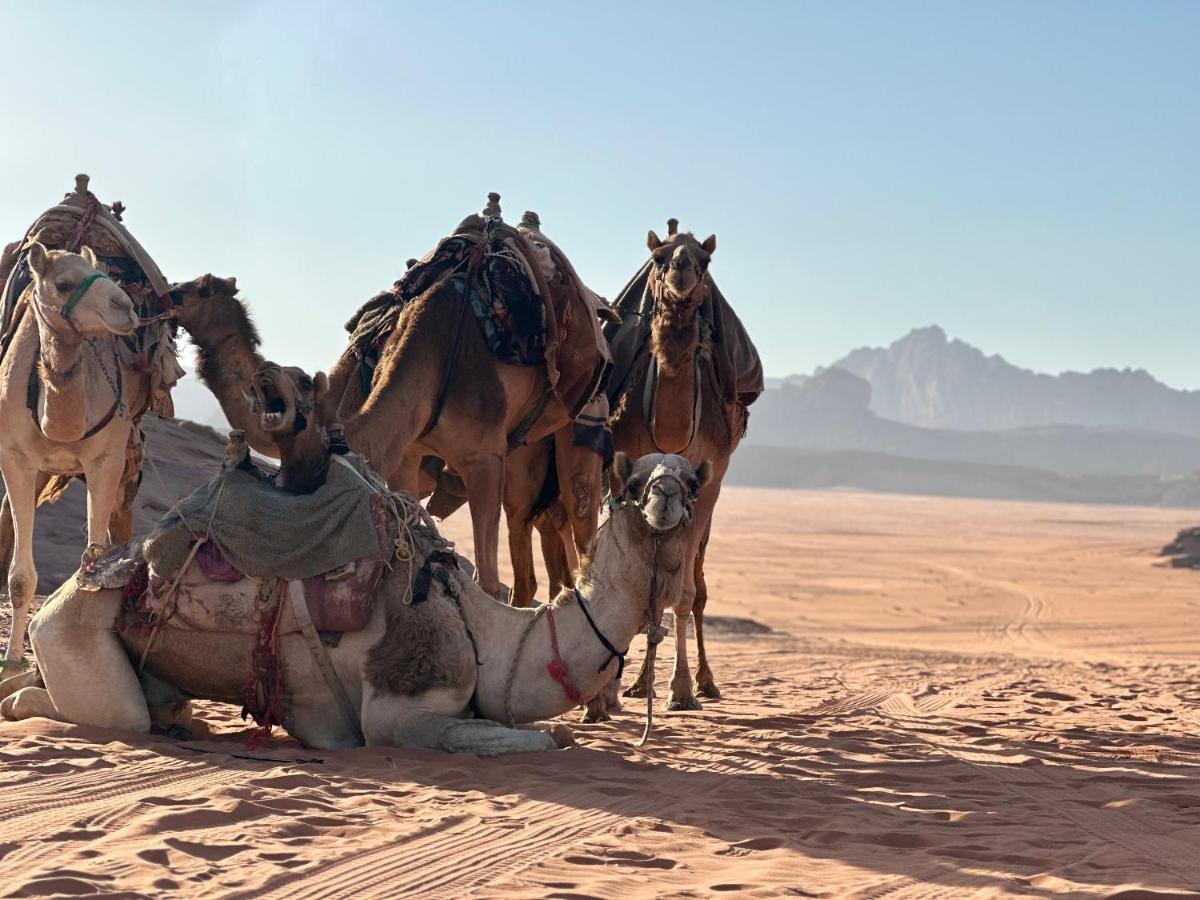 Rum Titanic Camp Wadi Rum Exteriör bild